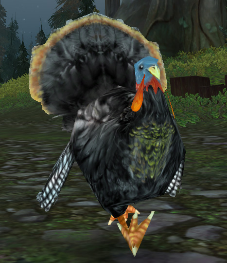 Fjord Turkey Strut copy