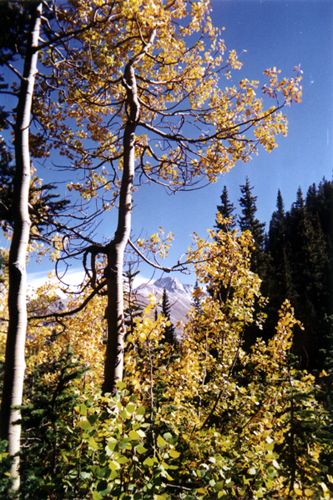 Rocky Mountain National Park. Осень.