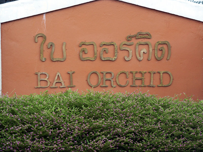 ферма орхидей