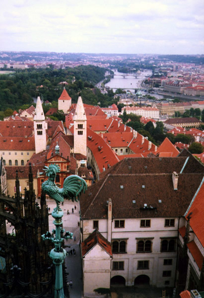 Вид с одной из башен собора на маленького петушка