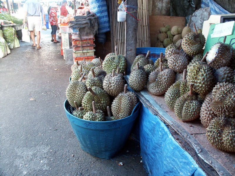 th_market-durian205
