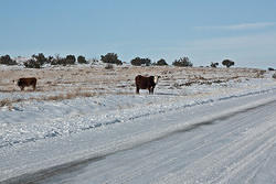 usa-dec10-moab-192.jpg