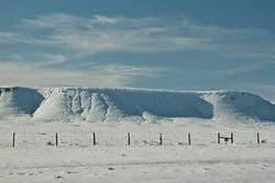 usa-dec10-moab-200.jpg