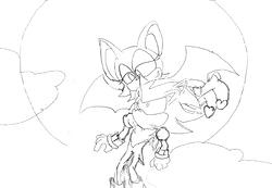 Shadow and Rouge in Flight