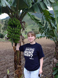 я в фирменной футболке с банановым деревом