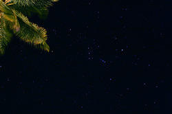 пальма ночью и звезды