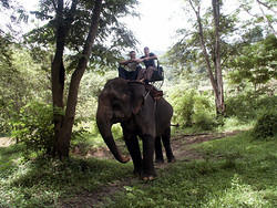 maetang_elefants49