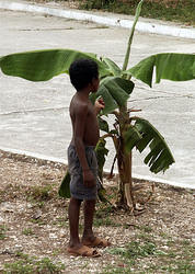 ребенок и банановое дерево