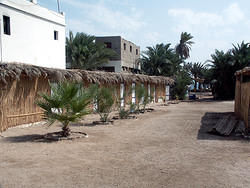 palm beach camp - внутренний дворик и норки по 5 фунтов в сутки (вентилятор, кровать. душ на улице)