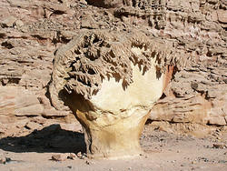 камни, похожие на грибы