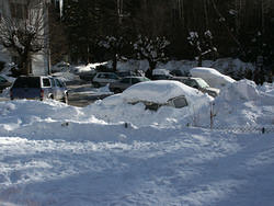 машины зимуют под снегом.